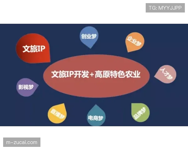 体育展会吸引跨界买家 赛事版权交易活跃度持续提升